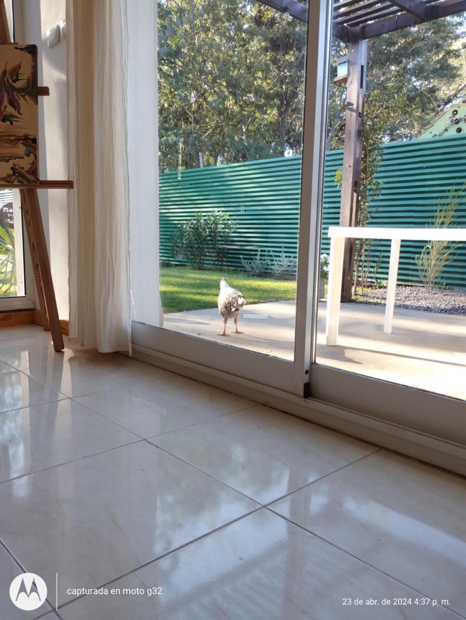 La Querencia Holiday home *